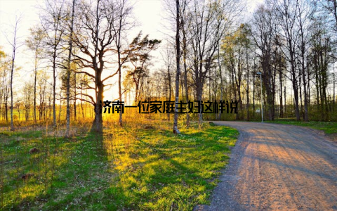 济南一位家庭主妇这样说
