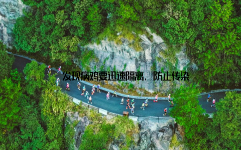 – 发现病鸡要迅速隔离, 防止传染