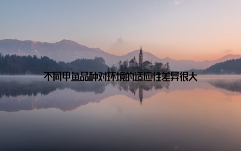 不同甲鱼品种对环境的适应性差异很大