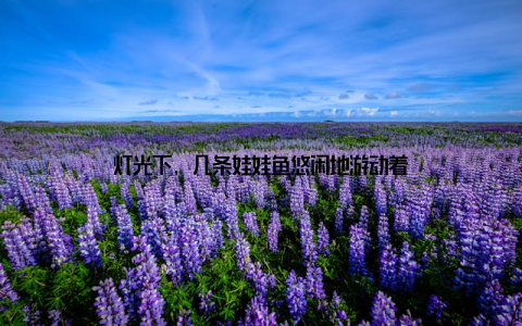 灯光下, 几条娃娃鱼悠闲地游动着