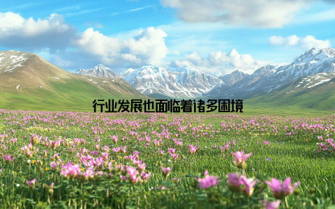 行业发展也面临着诸多困境