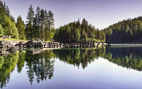 但骨子里的不服输让我坚持了下来