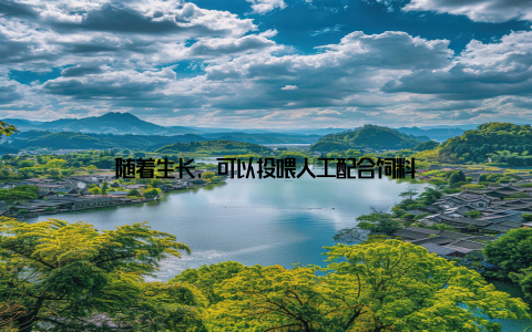 随着生长, 可以投喂人工配合饲料