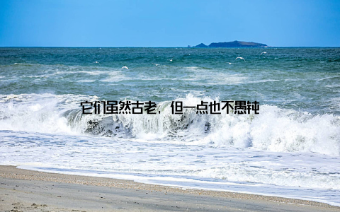 它们虽然古老, 但一点也不愚钝