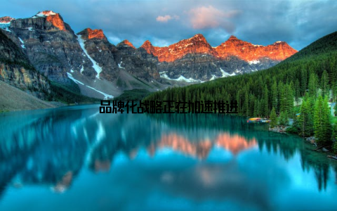 品牌化战略正在加速推进