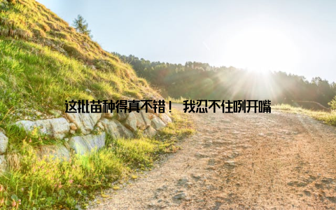 这批苗种得真不错! 我忍不住咧开嘴