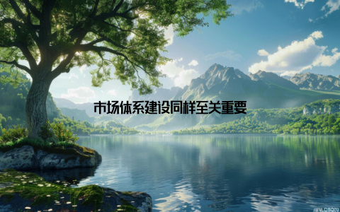 市场体系建设同样至关重要