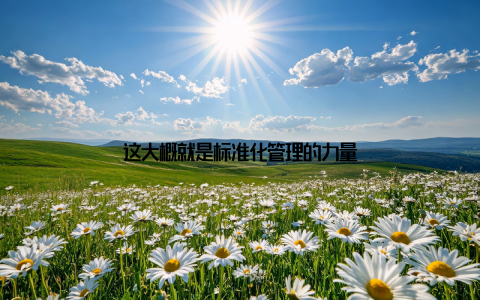 这大概就是标准化管理的力量