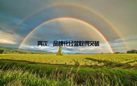 再次, 品牌化经营取得突破