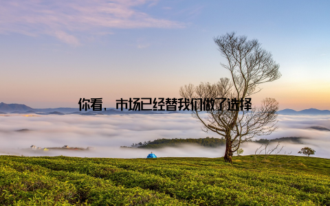 你看, 市场已经替我们做了选择