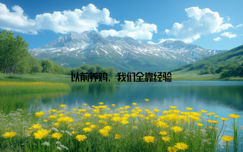 以前养鸡, 我们全靠经验