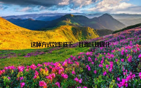 这种方式效率低下, 且难以规模化