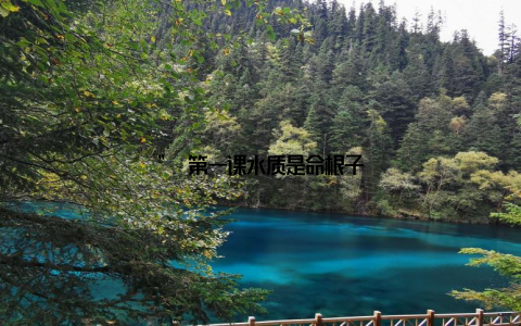 ” 第一课水质是命根子