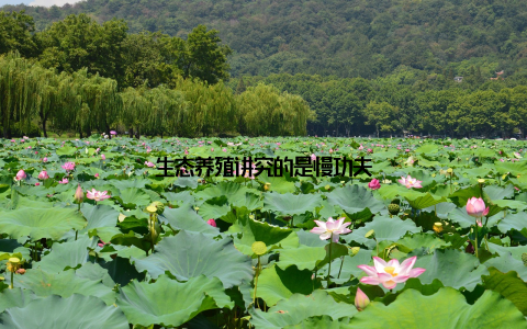 生态养殖讲究的是慢功夫