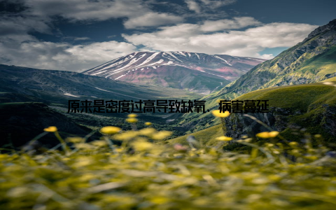 原来是密度过高导致缺氧、病害蔓延
