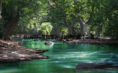 疾病防控是秋季养殖管理的重中之重