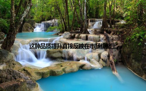 这种品质提升直接反映在市场价格上