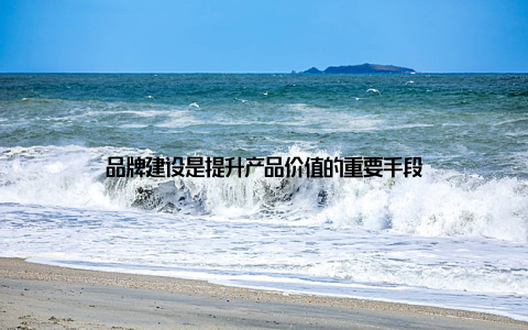 品牌建设是提升产品价值的重要手段