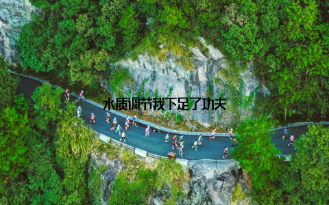 水质调节我下足了功夫