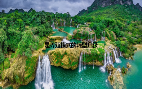 是养殖模式的转型升级