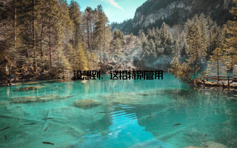 没想到, 这招特别管用