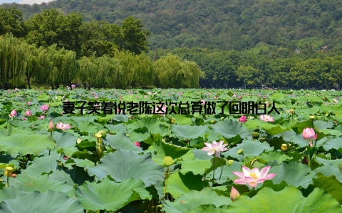 妻子笑着说老陈这次总算做了回明白人