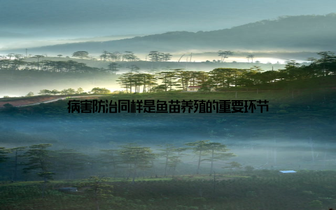 病害防治同样是鱼苗养殖的重要环节