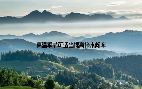高温季节可适当提高换水频率