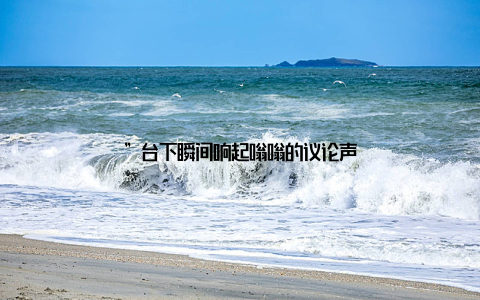 ”台下瞬间响起嗡嗡的议论声