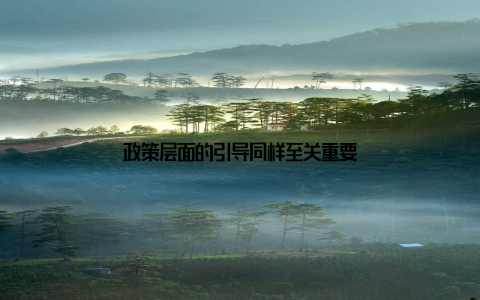 政策层面的引导同样至关重要