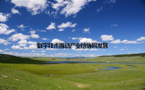 数字技术推动产业链协同发展