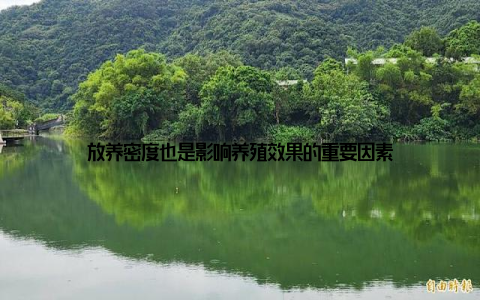 放养密度也是影响养殖效果的重要因素