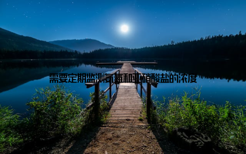 需要定期监测氨氮和亚硝酸盐的浓度