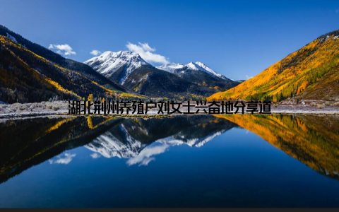 湖北荆州养殖户刘女士兴奋地分享道