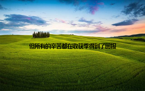 但所有的辛苦都在收获季得到了回报