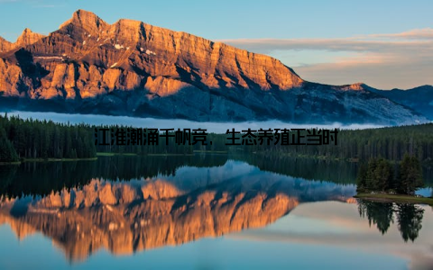 江淮潮涌千帆竞, 生态养殖正当时