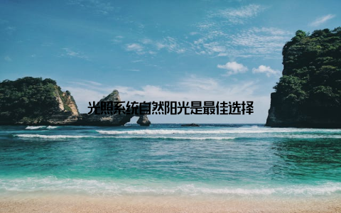 光照系统自然阳光是最佳选择