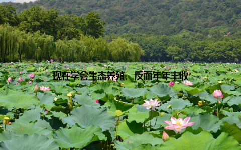 现在学会生态养殖, 反而年年丰收