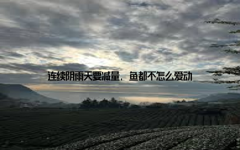 连续阴雨天要减量, 鱼都不怎么爱动