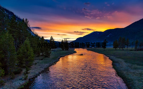 水中的溶解氧含量也至关重要