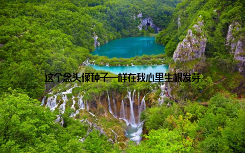 这个念头像种子一样在我心里生根发芽