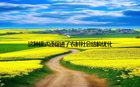 这种模式还促进了农村社会结构优化
