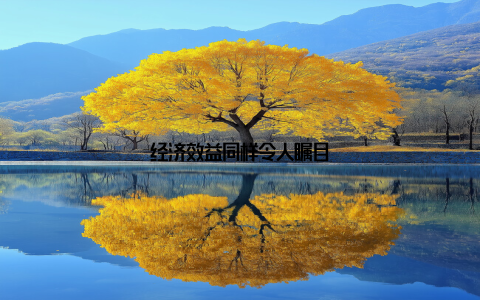 经济效益同样令人瞩目