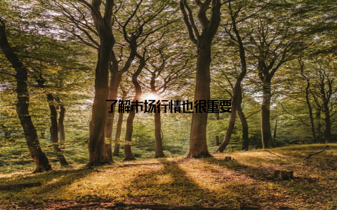 了解市场行情也很重要