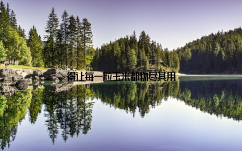 得让每一粒玉米都物尽其用