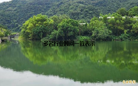 多名行业顾问一致表示