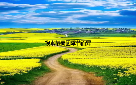 换水节奏因季节而异