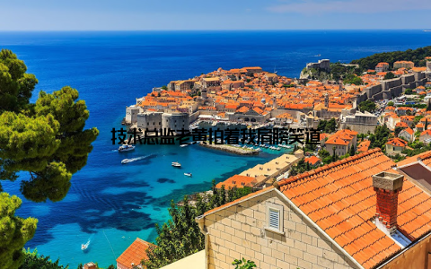 技术总监老黄拍着我肩膀笑道