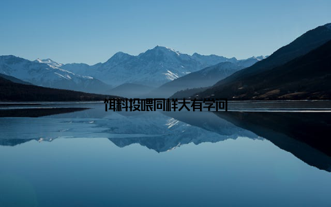 饵料投喂同样大有学问