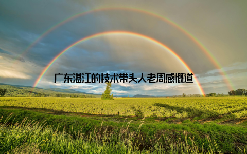 广东湛江的技术带头人老周感慨道